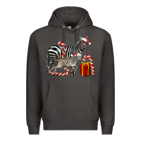 Smoke Christmas Zebra Baby And Mama Premium Hoodie - LillyAllenDesigns