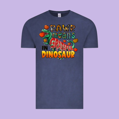 Rawr Means Grateful In Dinosaur Vintage Tee Designed By Cowhidedigitalart