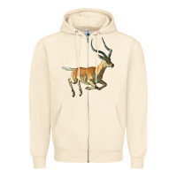 Sandshell Impala Antelope Illustrations Zipper Hoodie - LillyAllenDesigns