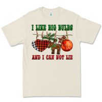 I Like Big Bulbs And I Can Not Lie Premium Tee | Teevron