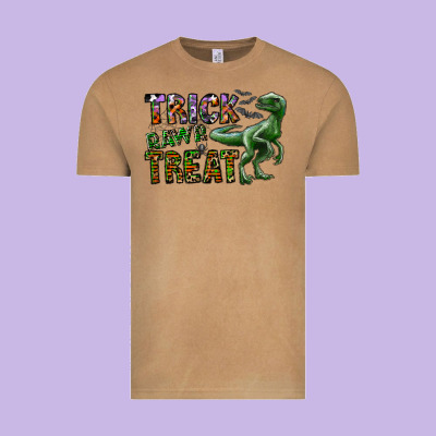 Trick Rawr Treat Vintage Tee Designed By Cowhidedigitalart