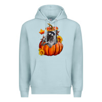 Blue Mist Fall Pumpkin Raccoon Premium Hoodie - LillyAllenDesigns