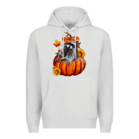 Dove Grey Fall Pumpkin Raccoon Premium Hoodie - LillyAllenDesigns