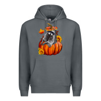 Rock Fall Pumpkin Raccoon Premium Hoodie - LillyAllenDesigns