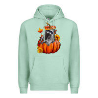 Seafoam Fall Pumpkin Raccoon Premium Hoodie - LillyAllenDesigns