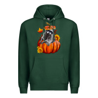 Sports Green Fall Pumpkin Raccoon Premium Hoodie - LillyAllenDesigns