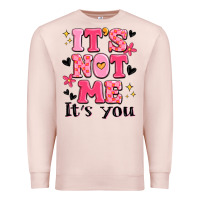 Pale Pink it's not me it's you Premium Sweatshirt - MaliasSmallBusiness