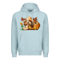 Blue Mist Fall Squirrel Premium Hoodie - LillyAllenDesigns