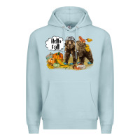 Blue Mist Hello Fall Brown Bear Premium Hoodie - LillyAllenDesigns