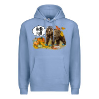 Colony Blue Hello Fall Brown Bear Premium Hoodie - LillyAllenDesigns