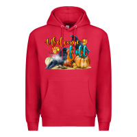 Cardinal Welcome Fall With Crow Premium Hoodie - LillyAllenDesigns