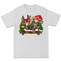 Dove Grey Christmas donkeys Premium Tee - BarkalooDesign