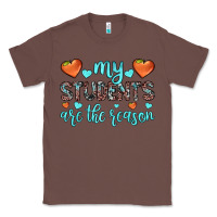 Chestnut my students are the reason Classic Tee - JahusDesignShop