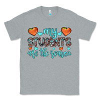 My Students Are The Reason Classic Tee | Teevron