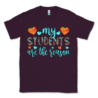 Plum my students are the reason Classic Tee - JahusDesignShop