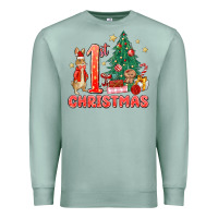 Seafoam red christmas bunny 1st christmas Premium Sweatshirt - MaliasSmallBusiness