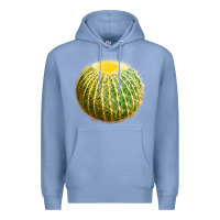 Colony Blue Golden Barrel Cactus Premium Hoodie - LillyAllenDesigns