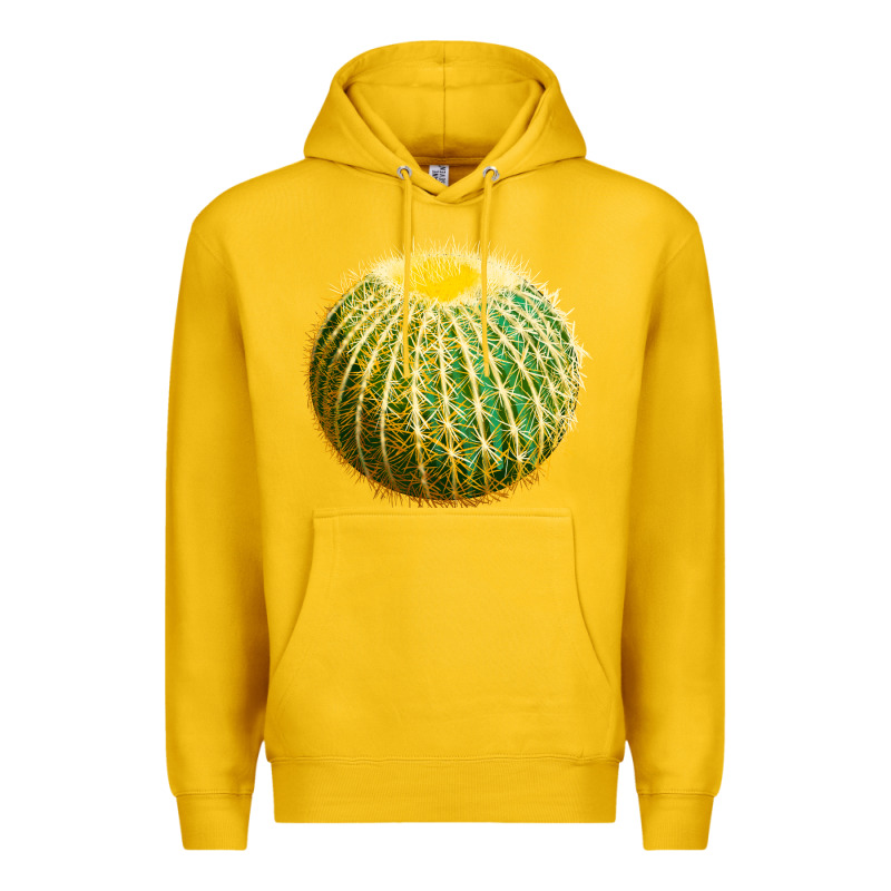 Golden Barrel Cactus Premium Hoodie by LillyAllenDesigns | Teevron