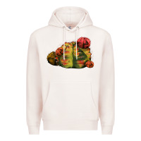Pale Pink Gymnocalycium Variegated Cactus Premium Hoodie - LillyAllenDesigns