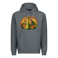 Rock Gymnocalycium Variegated Cactus Premium Hoodie - LillyAllenDesigns
