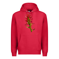 Cardinal Indian Paintbrush Premium Hoodie - LillyAllenDesigns