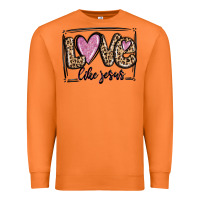 Carrot love like jesus Premium Sweatshirt - MaliasSmallBusiness