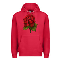 Cardinal Oklahoma Rose Illustrations Premium Hoodie - LillyAllenDesigns