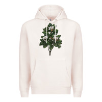 Pale Pink Magnolia Flower Illustrations Premium Hoodie - LillyAllenDesigns