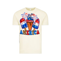 Vintage Arctic 4th of July America ice creams Vintage Tee - Neo Western