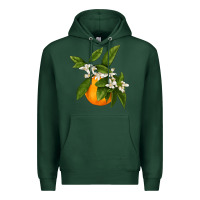 Sports Green Tangerine Premium Hoodie - LillyAllenDesigns