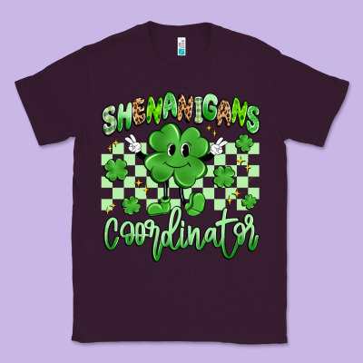 Shenanigans Coordinator Classic Tee Designed By Artiststas