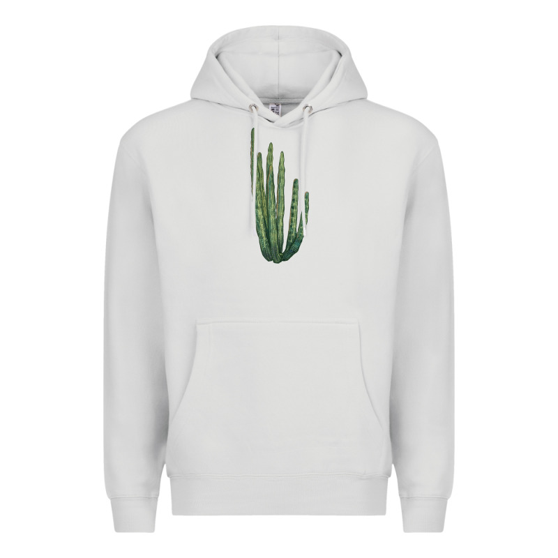 Organ Pipe Cactus Premium Hoodie by LillyAllenDesigns | Teevron