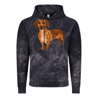 Cloud Black dachshund Vintage Hoodie - RanaPortraitStore
