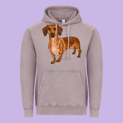 Dachshund Vintage Hoodie Designed By Ranaportraitstore
