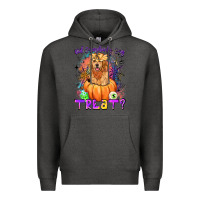 Charcoal Heather did somebody say treat Premium Hoodie - LillyAllenDesigns