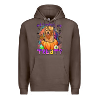 Coffee did somebody say treat Premium Hoodie - LillyAllenDesigns