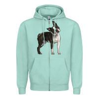 Seafoam Boston Terrier Zipper Hoodie - LillyAllenDesigns