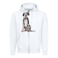 White Great Dane Dog Zipper Hoodie - LillyAllenDesigns