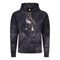 Cloud Black pitbull Vintage Hoodie - RanaPortraitStore