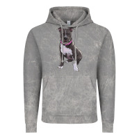Cloud Rock pitbull Vintage Hoodie - RanaPortraitStore
