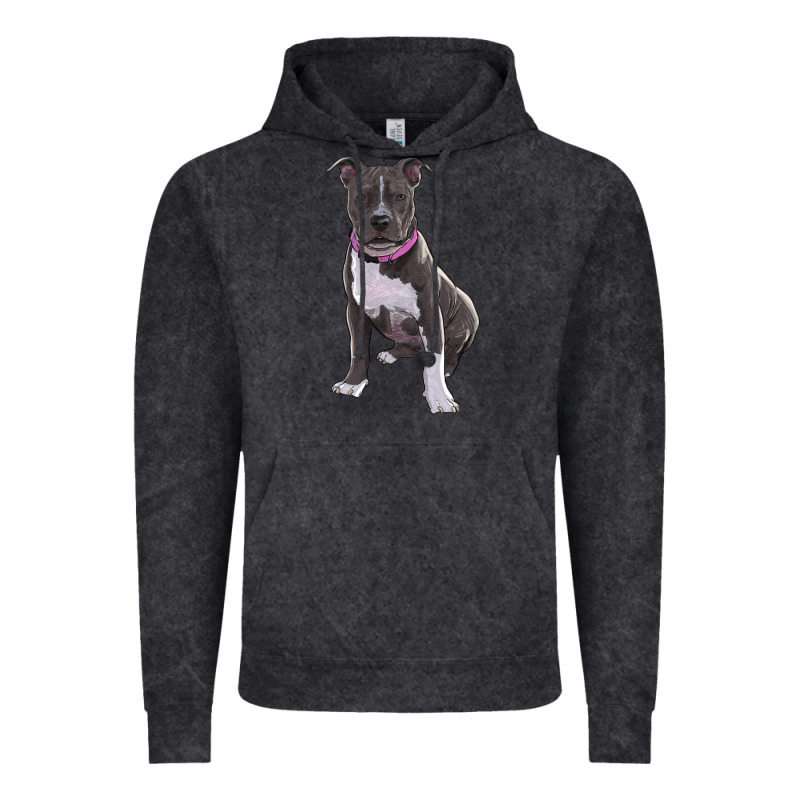 Pitbull Vintage Hoodie by RanaPortraitStore | Teevron