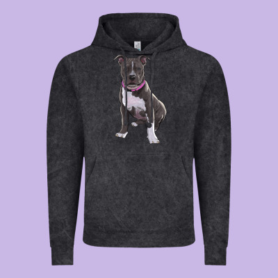 Pitbull Vintage Hoodie Designed By Ranaportraitstore