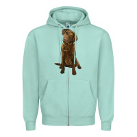 Seafoam chesapeake bay retriever Zipper Hoodie - LillyAllenDesigns