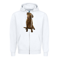 White chesapeake bay retriever Zipper Hoodie - LillyAllenDesigns