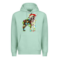 Seafoam christmas chocolate boston terrier Premium Hoodie - LillyAllenDesigns