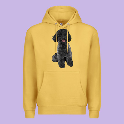 Black Poodles Dog Premium Hoodie Designed By Lillyallendesigns