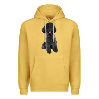 Antique Gold black poodles dog Premium Hoodie - LillyAllenDesigns
