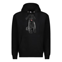 Black black poodles dog Premium Hoodie - LillyAllenDesigns