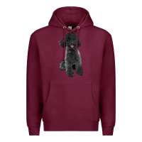 Burgundy black poodles dog Premium Hoodie - LillyAllenDesigns
