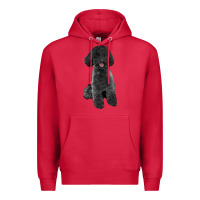 Cardinal black poodles dog Premium Hoodie - LillyAllenDesigns